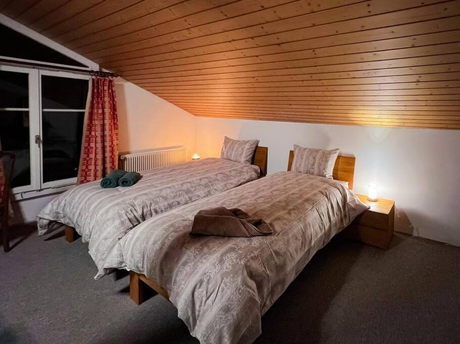 Chalet Maithili Lauterbrunnen -152-Year-Old Majestic Chalet Buitenkant foto