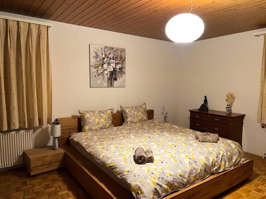 Chalet Maithili Lauterbrunnen -152-Year-Old Majestic Chalet Buitenkant foto